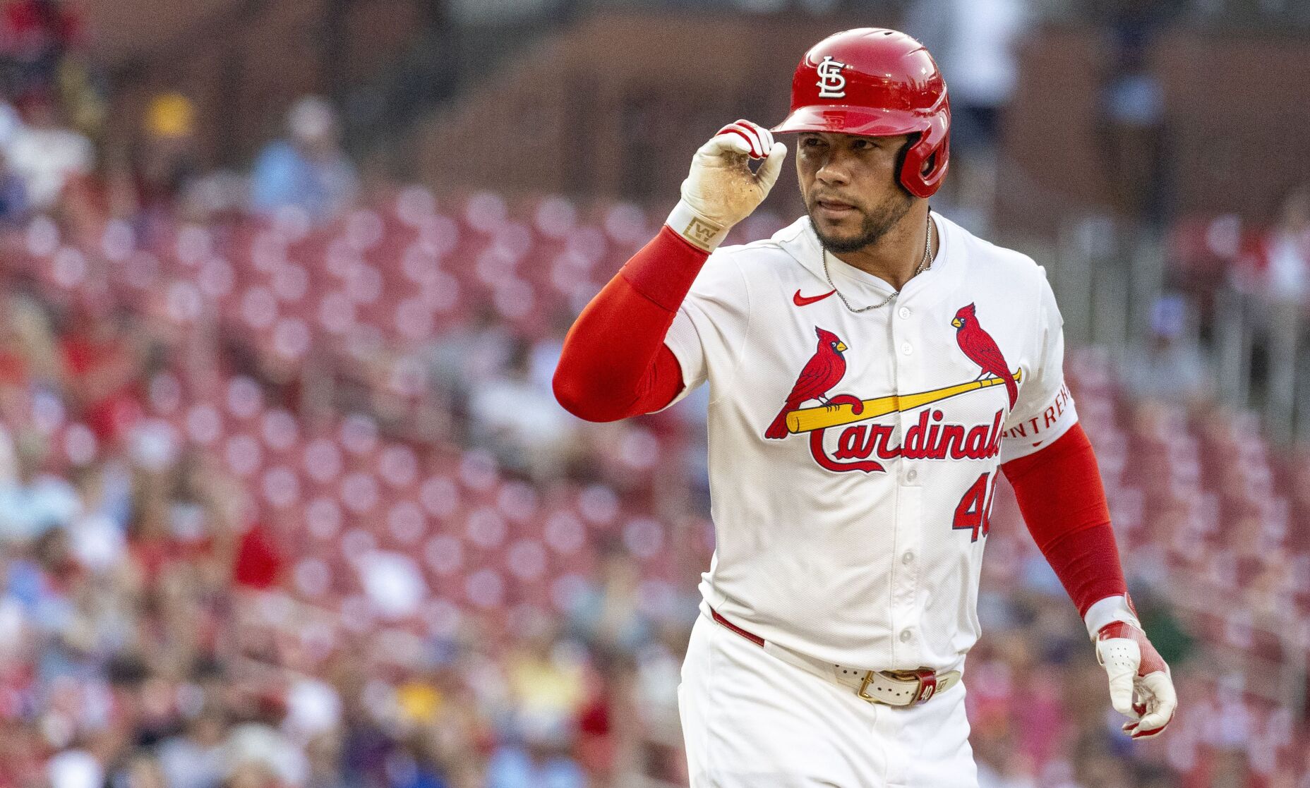 51黑料 Cardinals host Blue Jays